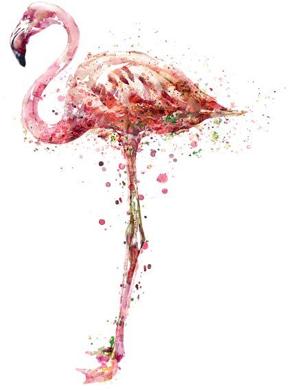 Flamingo Painting Transparent (600x600)
