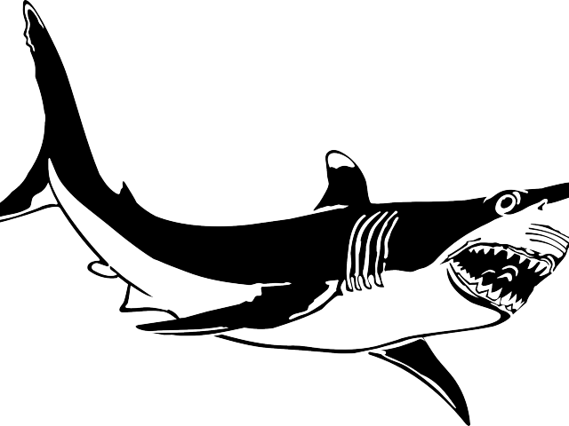 Great White Shark Clipart Clip Art - Tubarão Preto E Branco (640x480)