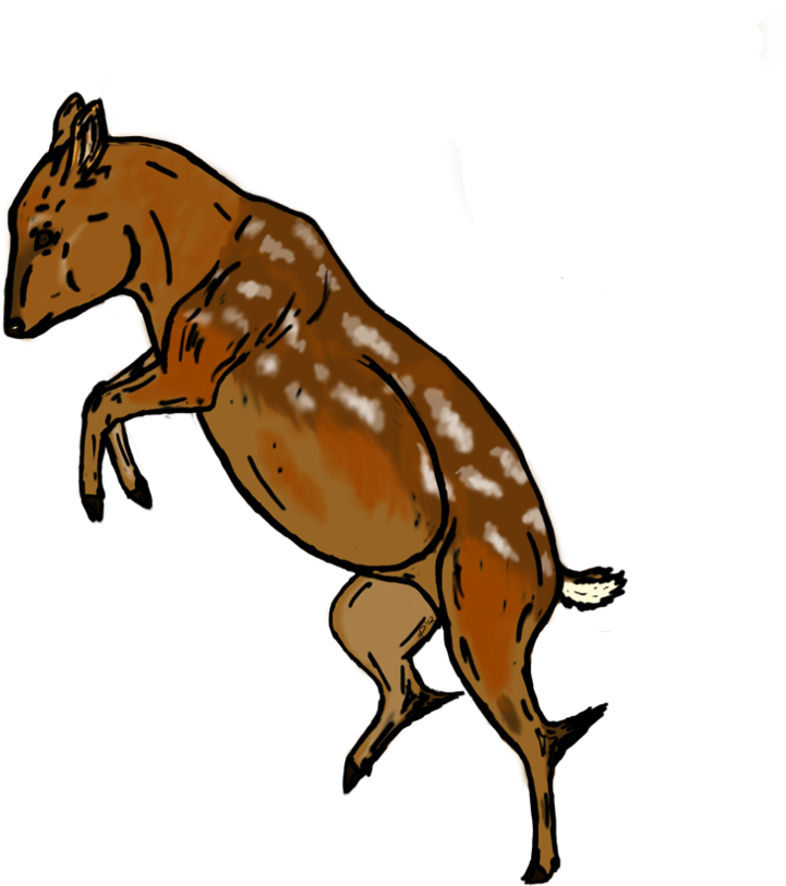 Pudu Fawn By Lolamad911 - Illustration (890x897)