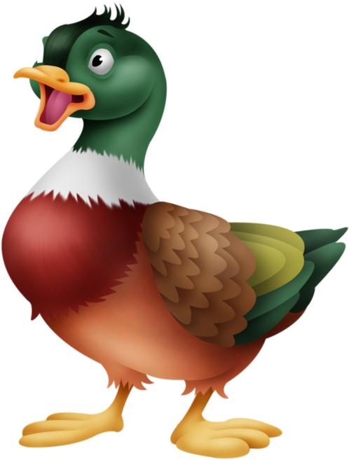 Canard - Duck (600x726)