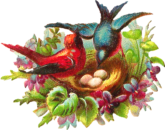 Bird Nest (746x654)