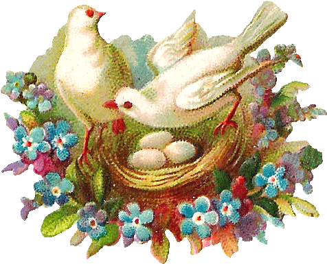 What A Lovely Digital Bird Nest Graphic I'm Continuing - Clip Art (746x654)