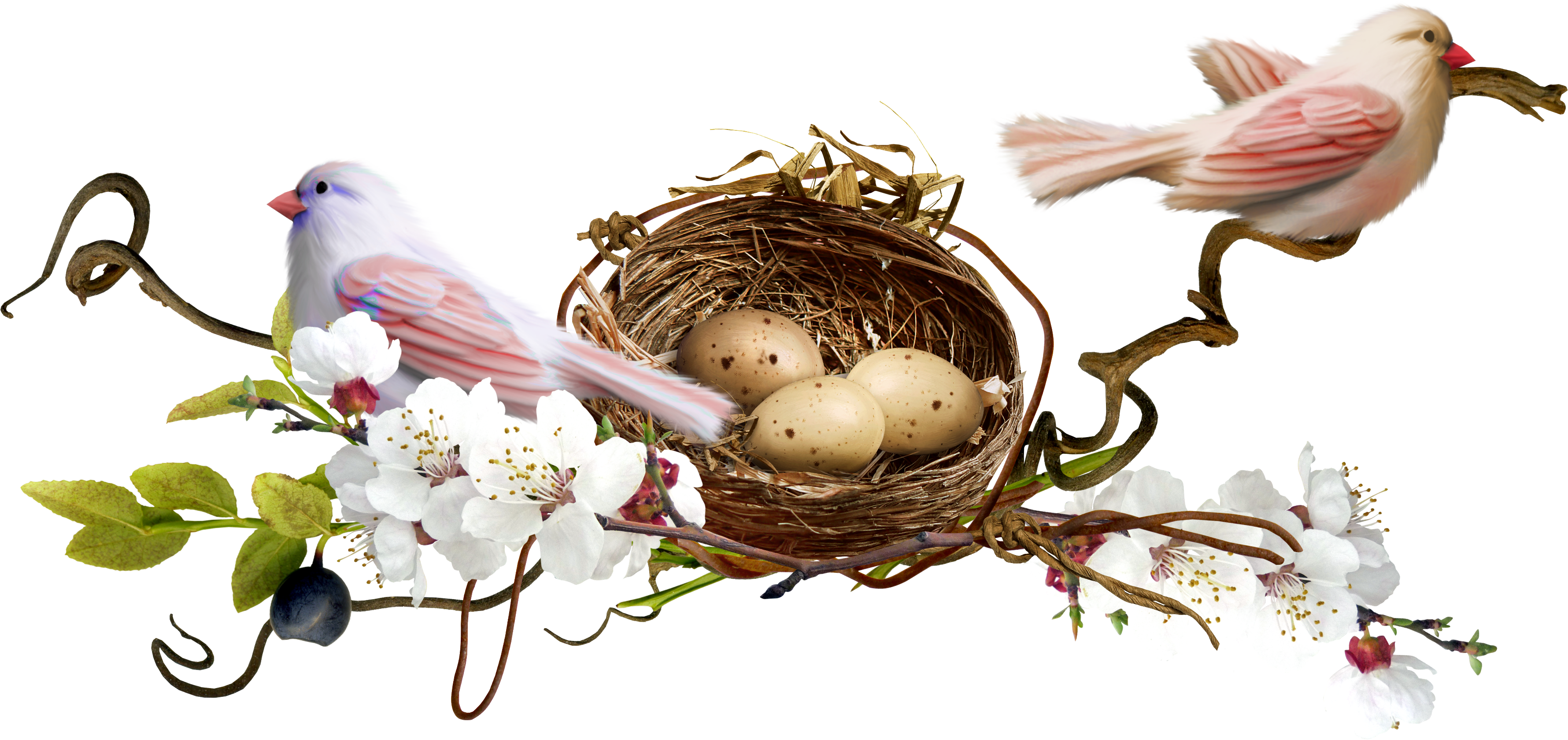 Bird Nest Clip Art - Tinypic (3560x1681)