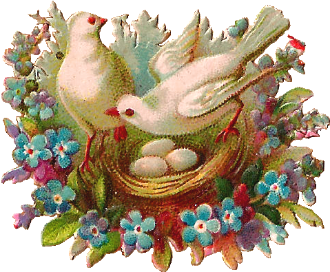 What A Sweet Bird Image Of Two Doves With Their Nest - Free Flower And Bird Clip Art (690x574)