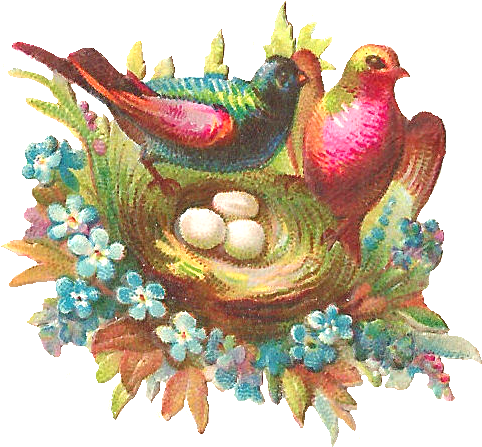 Even Though It's Thursday, Today I'm Posting The Final - Victorian Birds And Nests 101 Collage Sheet (746x654)