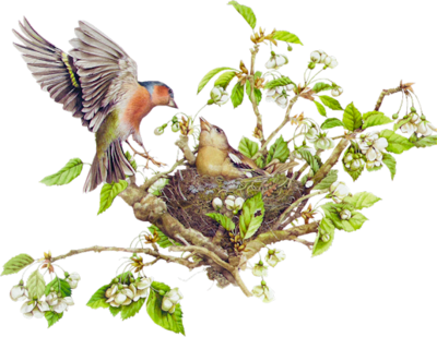 Nest W Colored Pens Paint Brush - Bird On The Tree Png (400x309)