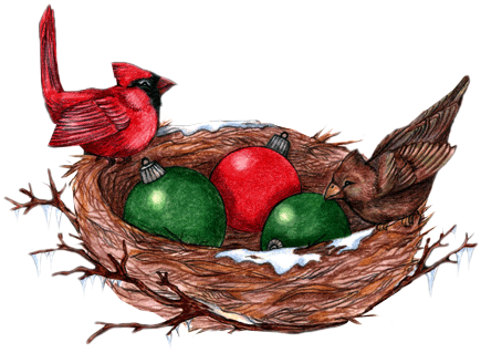 Christmas Birds - Portable Network Graphics (447x329)