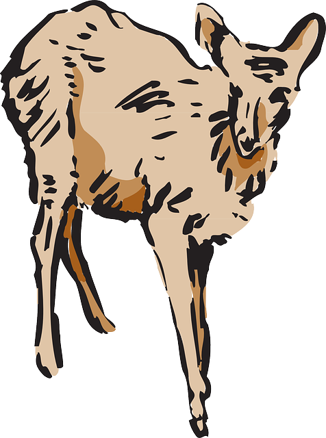 Style, Wild, Art, Walking, Animal - Art (476x640)