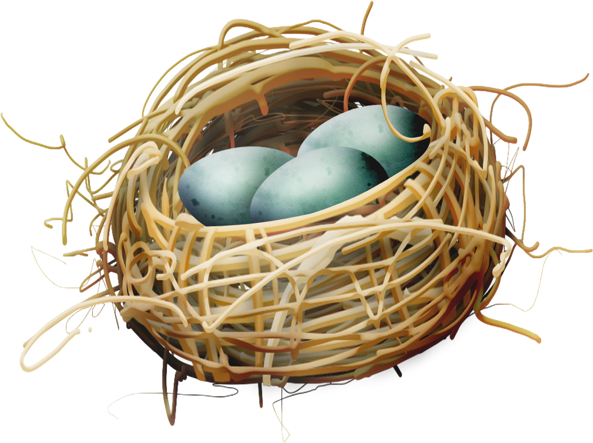 Bird Nest Egg - Bird Nest Clipart (2362x2362)