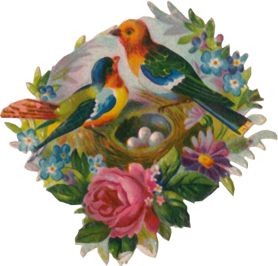 Victorian Die Cut - European Robin (565x541)