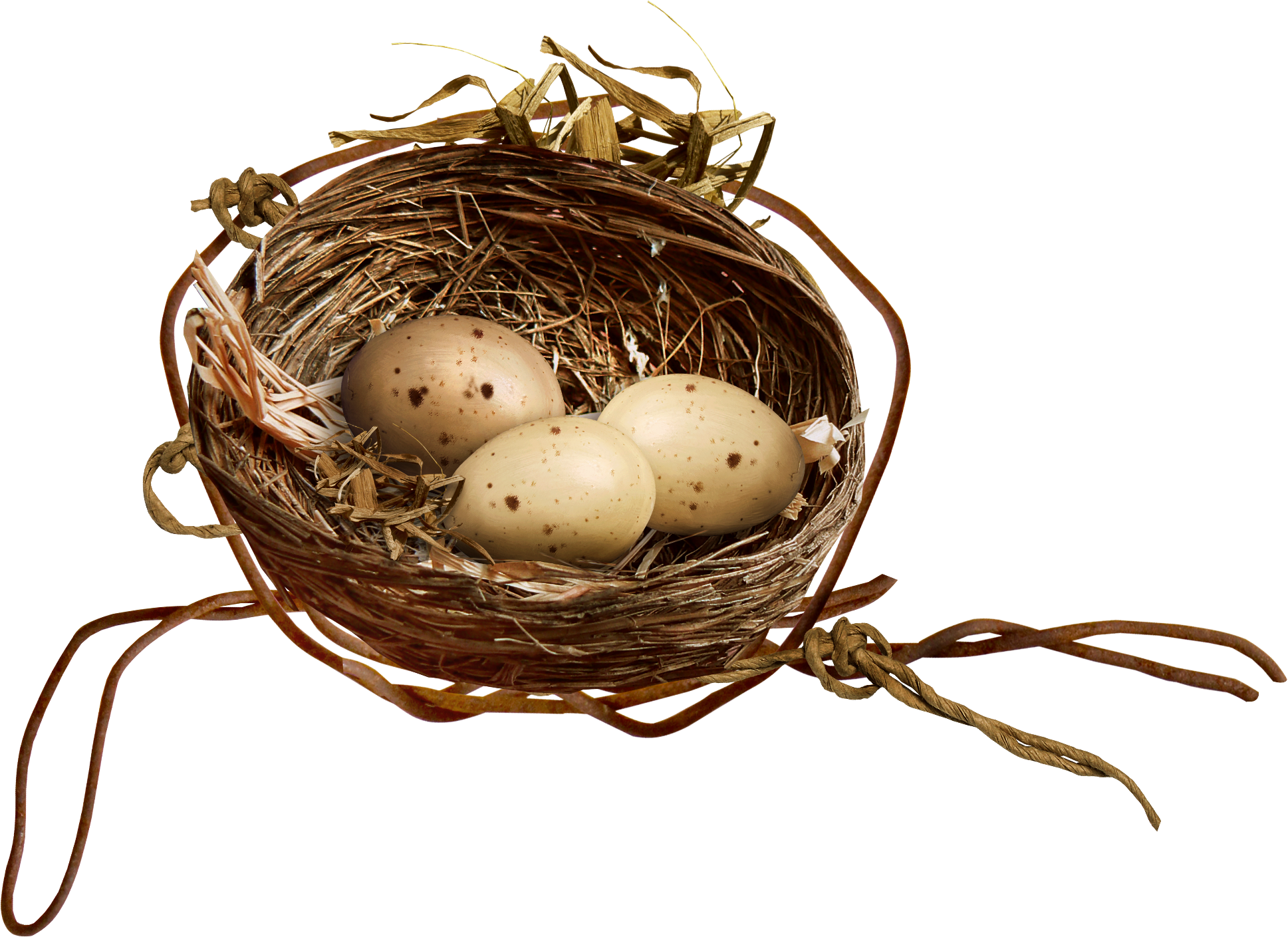 Bird Nest Egg Clip Art - Bird Nest (1937x1409)
