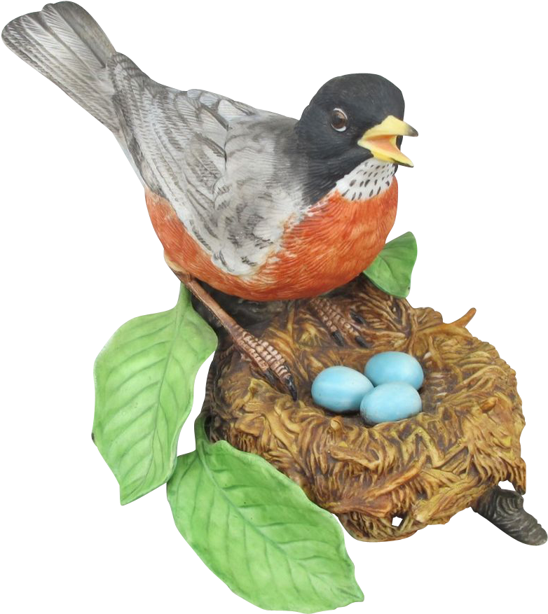 American Robin Transparent Png (876x876)