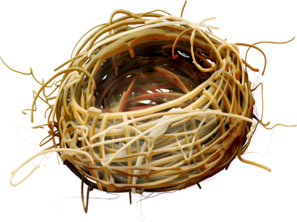 Birds Nests - Bird Nest Clipart (600x448)