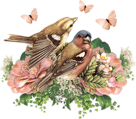 Винтажные Цветы В Png Для Декупажа - Flower Bird Vintage Paper Ornament (round) (450x393)