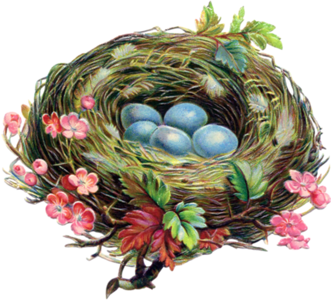 Easter Eggs In Birds Nests - Bird Nest Necklace, Bird Egg, Bird Nest Pendant, Robin (650x589)