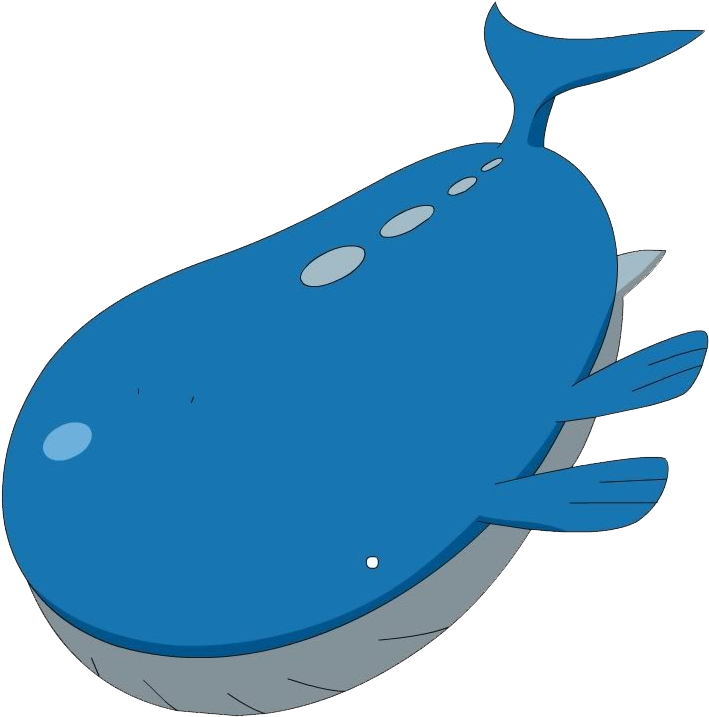 #wailord #pokemon #anime #pocketmonsters - Pokemon Wailord (800x750)