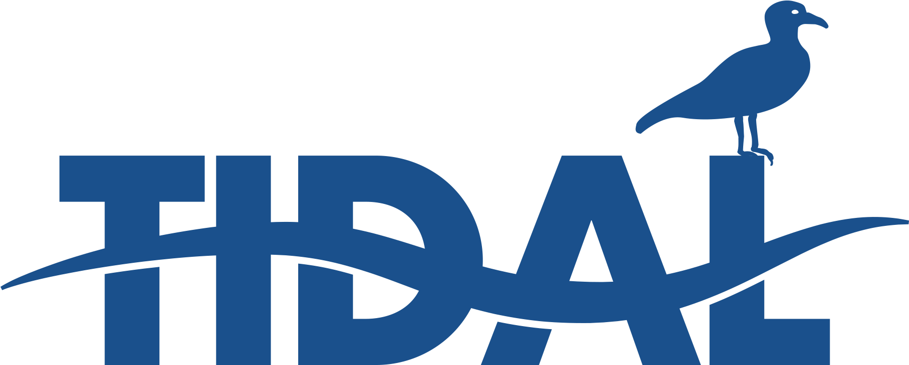Tidal Marine Logo - Logo (1976x908)