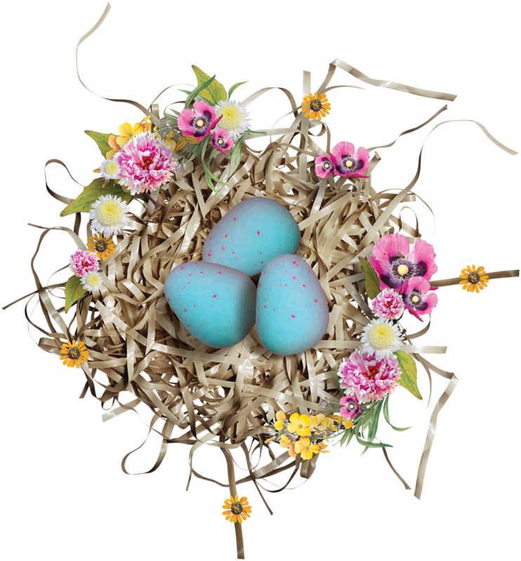 Easter Eggs In Birds Nests - Nest (742x800)