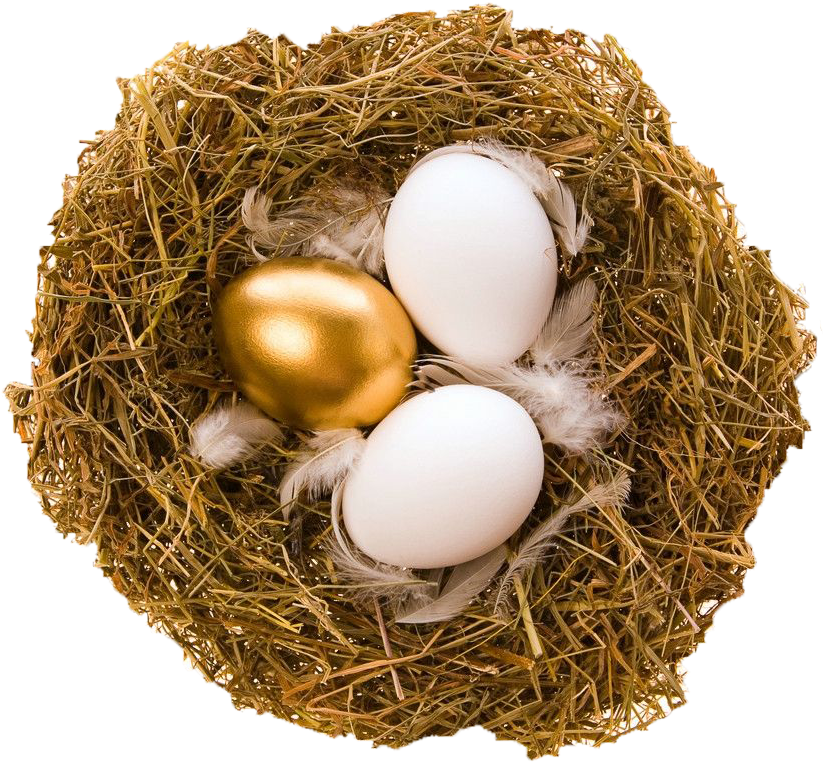 Quail Bird Nest Egg Bird Nest - Quail Bird Nest Egg Bird Nest (1024x963)
