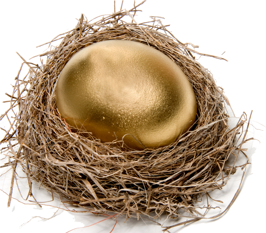 Chicken Easter Egg Nest Stock Photography - Bird Nest (945x945)