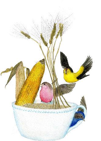 Add To - Bobolink (371x513)