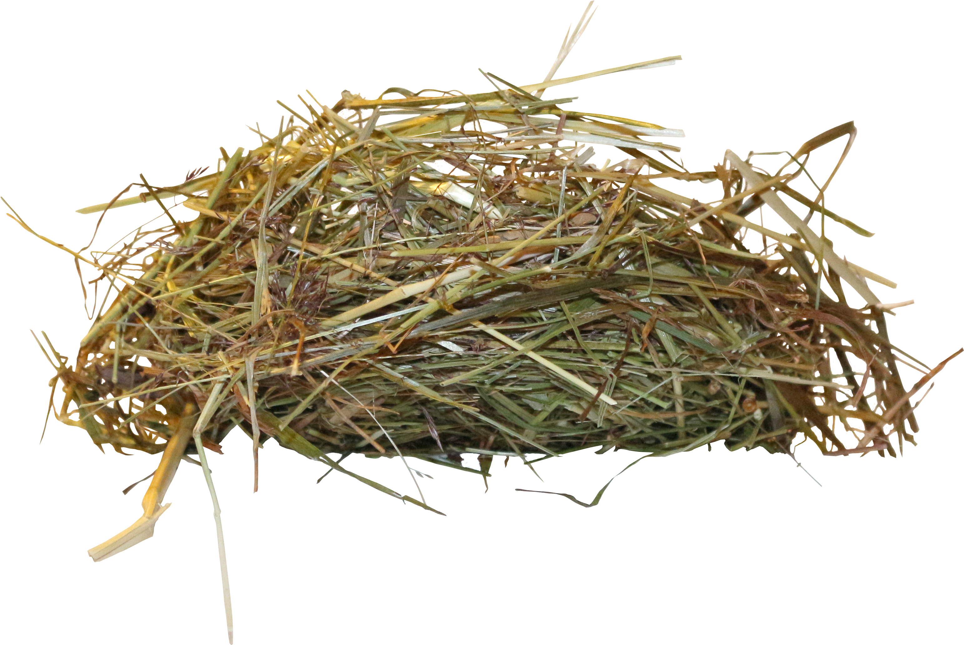 Edible Birds Nest Bird Nest - Bird Nest Png (3474x2183)