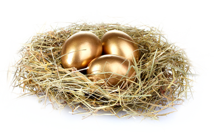 Nest Golden Eggs Png Photo - Make Money From Freelance Writing: Teach Yourself (435x276)