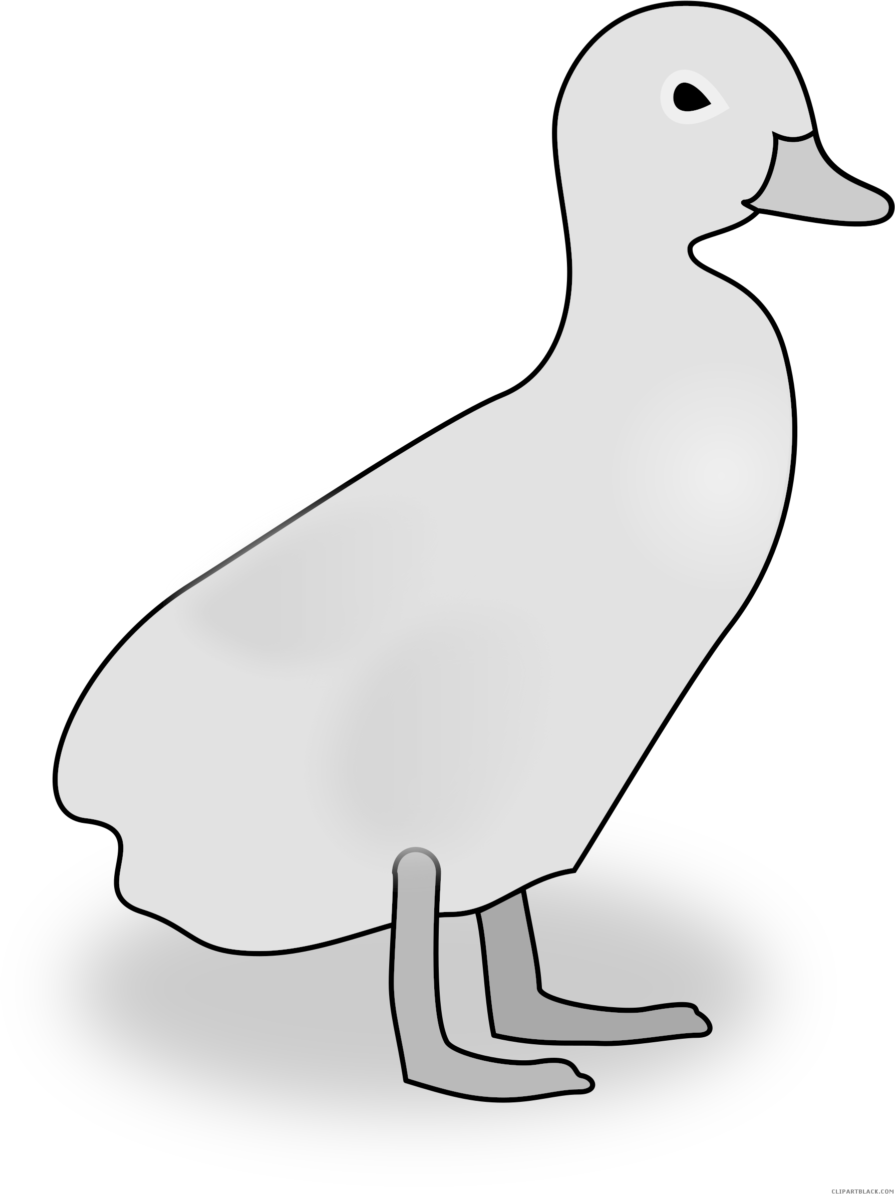 Duckling Black And White Clipart - Clip Art (1827x2400)