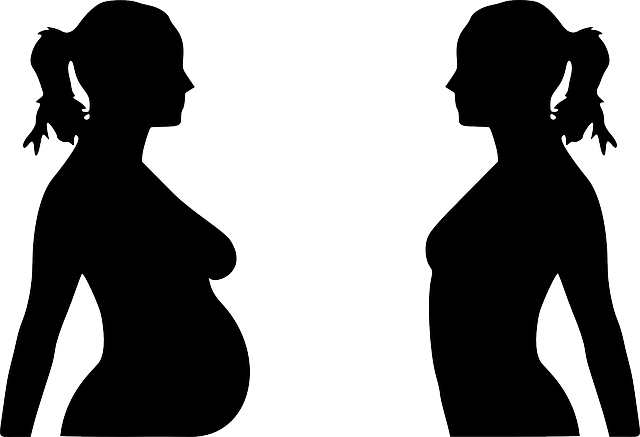 Pregnant Woman Silhouette Clip Art Free Free Cliparts - Breast Size Changes During Pregnancy (640x437)
