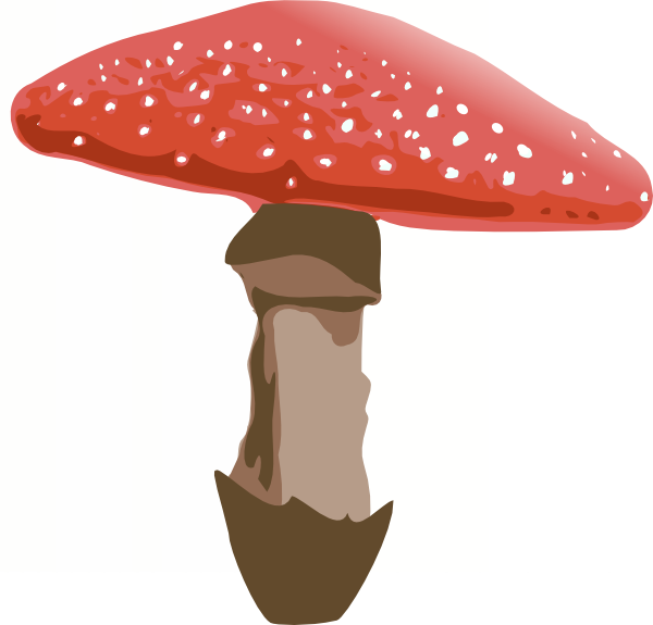 Clipart Best - Amanita Muscaria Png (600x575)