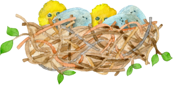 Easter Eggs In Birds Nests - Bird (600x294)