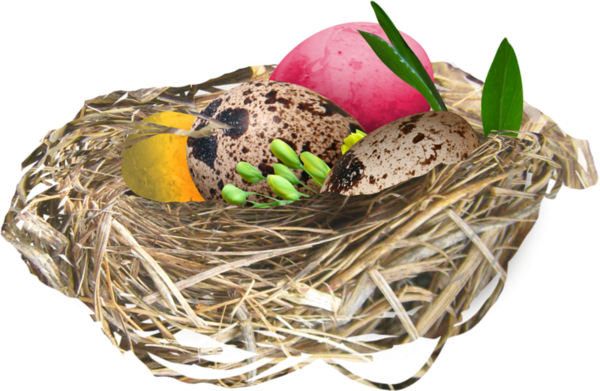 Easter Eggs In Birds Nests - Carte Des Tube Paysage De Paques (600x391)