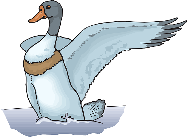 Feathers Water, Blue, Duck, Wings, Art, Landing, Feathers - Logo Kartun Bebek Biru Pink (640x469)