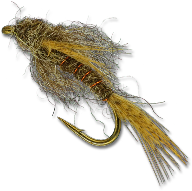 Birds Nest - Insect (800x800)