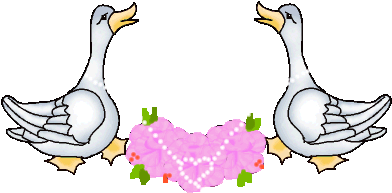 Ducks In Love - Patos Romanticos (400x300)