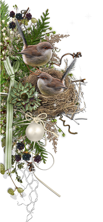 Birds Nests - Scrapbooking (355x800)