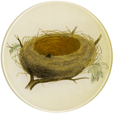 $75 - John Derian (480x480)