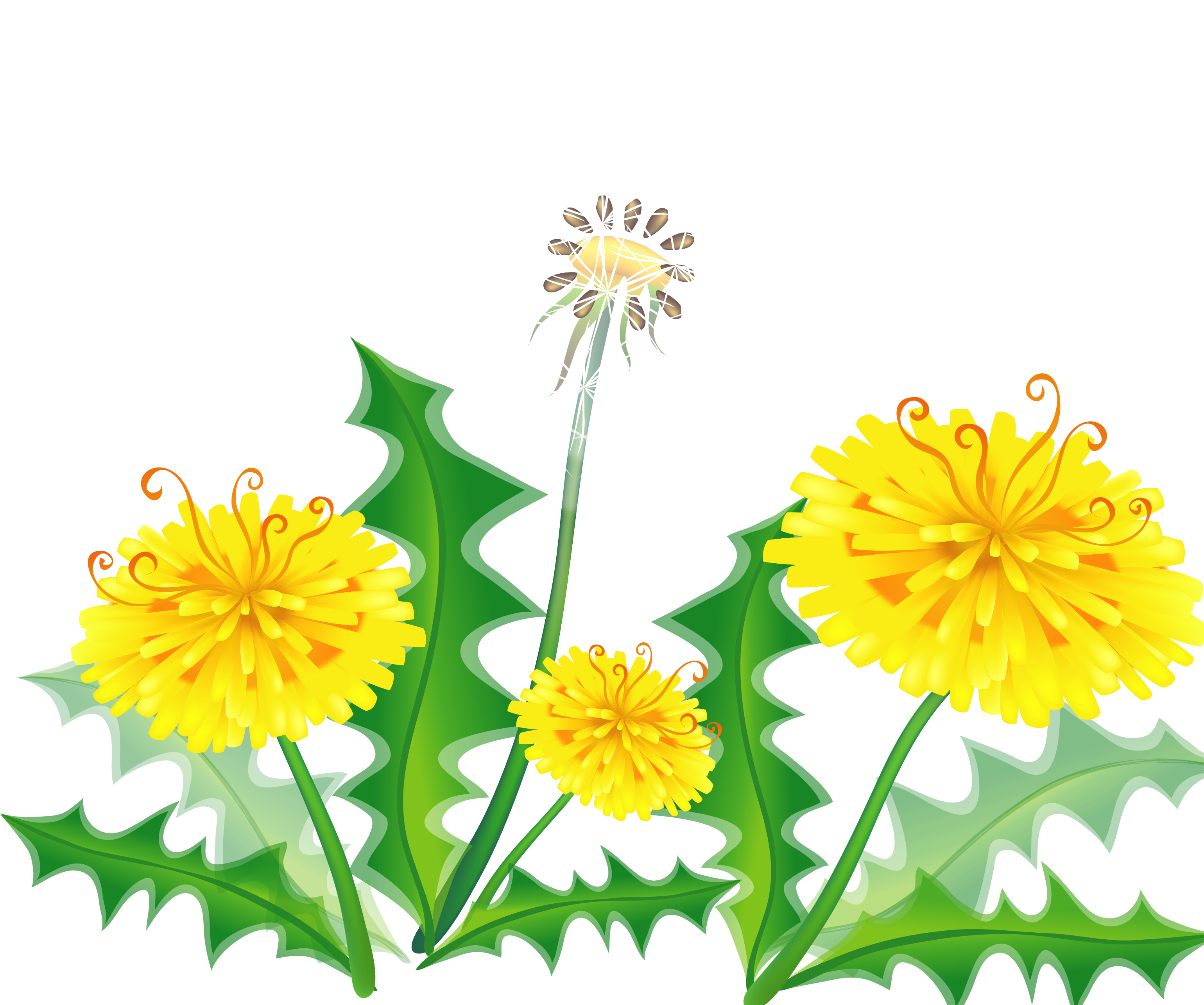 Hand Painted Dandelion Vector Material - Dandelion (3125x3125)