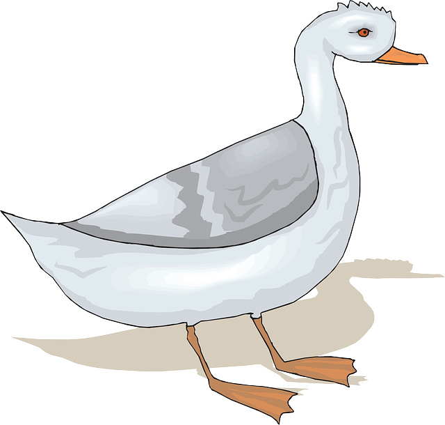 Cartoon, Bird, Wings, Art, Standing, Goose, Feathers - Goose Cartoon Png (640x610)