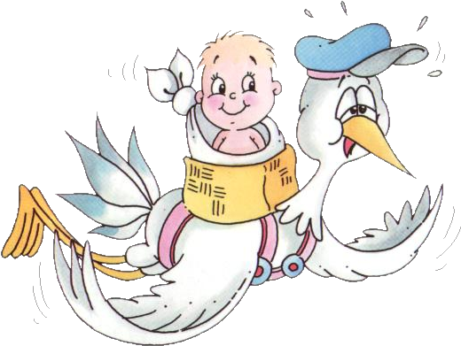Naissance Bébé Clipart - Dessin Bébé Et Cigogne (539x410)