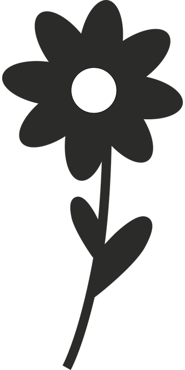 Dandelion Clipart Minimalist - Flower (360x720)