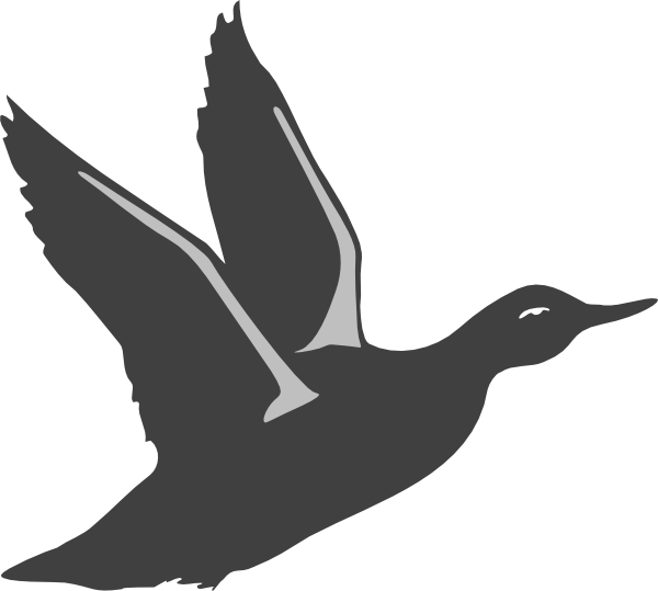 Duck Silhouette Taking Off Clip Art At Clker Com Vector - Flying Duck Silhouette Png (1280x1150)