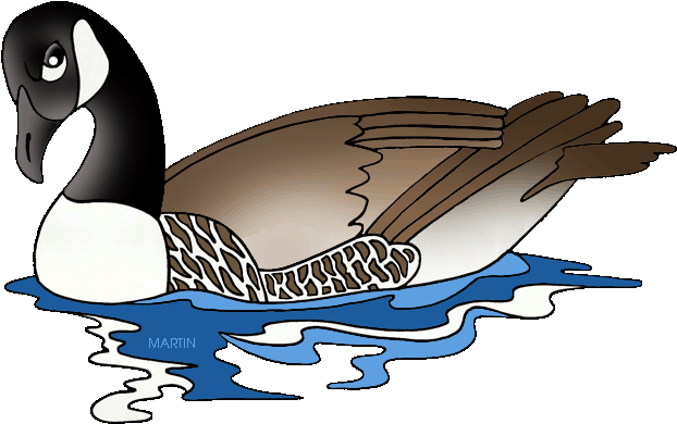 Canadian Goose - Canadian Geese Clip Art (648x412)