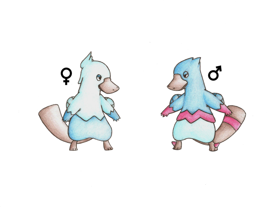 Platypus Pokemon By Seven-p - Platypus (900x659)