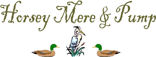 Title - 'merica Large Mug (600x200)