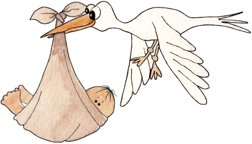 Storks Baby - Cartoon (500x285)