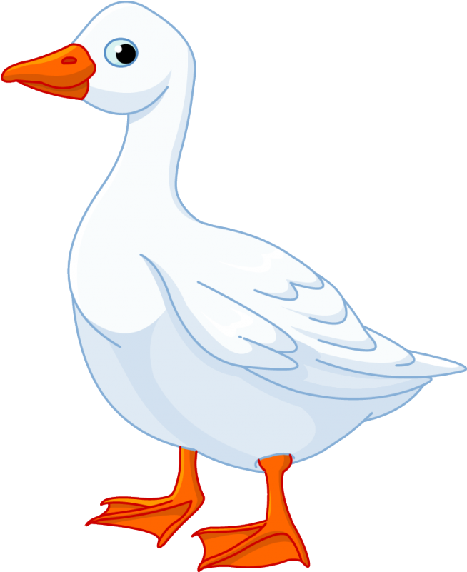 Resultado De Imagen De Dibujos De Oca - Domestic Farm Animals Clipart Goat (800x800)