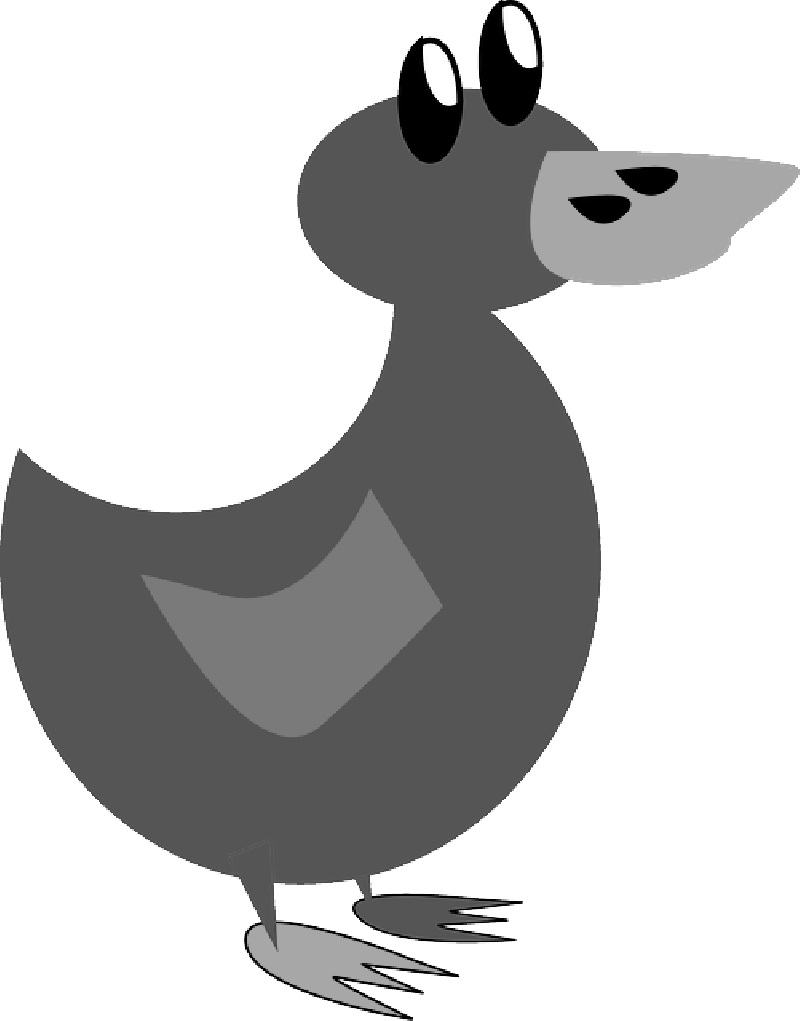 Duck, Duckling, Bird, Waterfowl, Water Bird, Cartoon - Duck (800x1021)