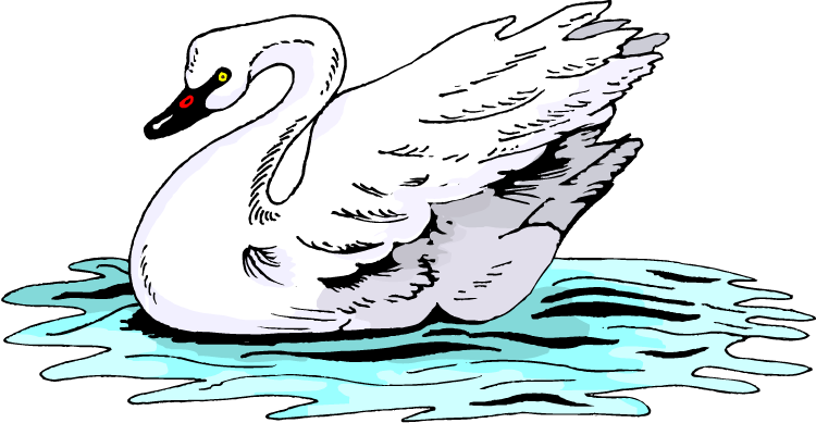 Swan On Water - ברבור דף צביעה (750x389)