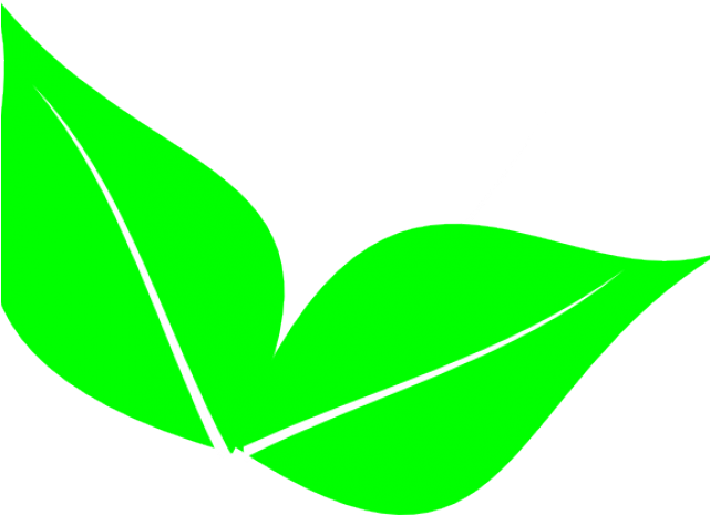 Foliage Clipart 2 Leaves - 2 Leaf Clip Art (640x480)